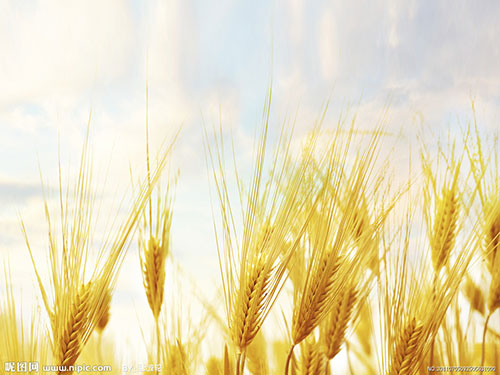 农村生活污水处理设备有什么性能特点呢